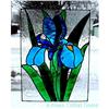 Image 1 : Vibrant BLUE Iris  FREE Shipping #873796