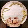 Image 1 : LIMOGES SEA Shells & SEA Hand Painted Plate #874045