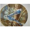 Image 1 : KEVIN DANIELS " THE BLUE JAY" PLATE #874367