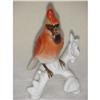Image 1 : Porcelain Cardinal Sku2577 #874823