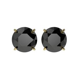 3 ctw Fancy Black Diamond Solitaire Stud Earrings 10K Yellow Gold