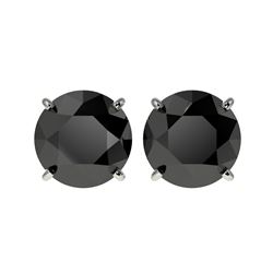 4.19 ctw Fancy Black Diamond Solitaire Stud Earrings 10K White Gold