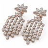 Image 1 : 14 ctw Mixed Cut Diamond Designer Earrings 18K Rose Gold