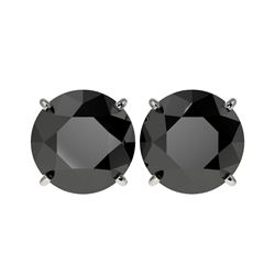 5 ctw Fancy Black Diamond Solitaire Stud Earrings 10K White Gold