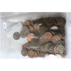 U.S.A. Pennies (108)