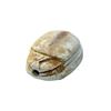 Image 2 : Ancient Egyptian Steatite Scarab second intermediate