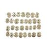Image 2 : Lot of 31 Ancient Achaeminid Bone Ornaments c.5th