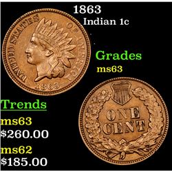 1863 Indian Cent 1c Grades Select Unc