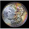 Image 2 : ***Auction Highlight*** 1881-s Rainbow Toned Morgan Dollar $1 Graded GEM+ Unc By USCG (fc)
