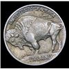 Image 3 : 1913-p TY I Buffalo Nickel 5c Grades Select+ Unc