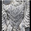 Image 6 : ***Auction Highlight*** 1886-s /s Vam 2 Top 100 Morgan Dollar $1 Graded Select Unc+ DMPL By USCG (fc