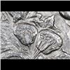 Image 7 : ***Auction Highlight*** 1883-s Morgan Dollar $1 Graded Select Unc PL By USCG (fc)
