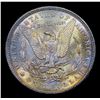 Image 3 : ***Auction Highlight*** 1891-p Rainbow Toned Morgan Dollar $1 Graded Select+ Unc By USCG (fc)