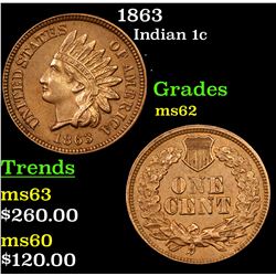 1863 Indian Cent 1c Grades Select Unc