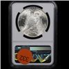 Image 3 : NGC 1924-p Peace Dollar $1 Graded ms64 By NGC