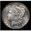 Image 2 : ***Auction Highlight*** 1884-s Morgan Dollar $1 Graded Select Unc By USCG (fc)
