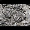 Image 9 : *Highlight Of Entire Auction* 1889-cc Vam 3 Morgan $1 Graded Select Unc+ PL By USCG (fc)