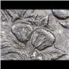 Image 6 : ***Auction Highlight*** 1883-s vam 10 R5 Morgan Dollar $1 Graded Select Unc By USCG (fc)