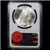 Image 3 : NGC 1923-p Peace Dollar $1 Graded ms63 By NGC
