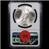Image 3 : NGC 1924-p Peace Dollar $1 Graded ms64 By NGC