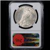 Image 3 : NGC 1924-p Peace Dollar $1 Graded ms63 By NGC