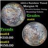 Image 1 : 1902-o Rainbow Toned Morgan Dollar $1 Grades Choice Unc
