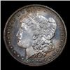 Image 2 : ***Auction Highlight*** 1881-s Morgan Dollar $1 Graded GEM+ UNC DMPL By USCG (fc)