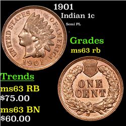 1901 Indian Cent 1c Grades Select Unc RB