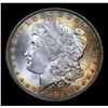Image 2 : ***Auction Highlight*** 1885-o Rainbow Toned Morgan Dollar $1 Graded GEM+ Unc By USCG (fc)