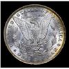 Image 3 : ***Auction Highlight*** 1885-o Rainbow Toned Morgan Dollar $1 Graded GEM+ Unc By USCG (fc)