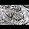 Image 7 : ***Auction Highlight*** 1896-o Morgan Dollar $1 Graded Select+ Unc By USCG (fc)