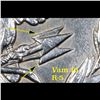 Image 9 : ***Auction Highlight*** 1901-p Mint Error vam 15 R5 Morgan Dollar $1 Graded Choice Unc By USCG (fc)