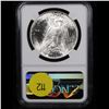 Image 3 : NGC 1924-p Peace Dollar $1 Graded ms63 By NGC