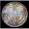 Image 3 : 1884/18-o Rainbow Toned Vam 4 Morgan Dollar $1 Grades Select Unc