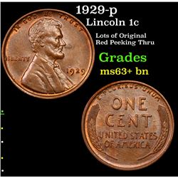 1929-p Lincoln Cent 1c Grades Select+ Unc BN