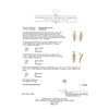 Image 3 : 0.7 ctw Diamond Earrings - 18KT Yellow Gold
