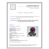 Image 3 : 20.01ct Burma Ruby 14K White Gold Ring No Glass Filling