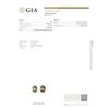 Image 2 : GIA 1.57ct Oval Shape Yellowish Green changing to Brown ALEXANDRITE? 8.19 x 6.18 x 3.82 mm