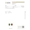 Image 2 : GIA 2.54ct Oval Shape Yellowish Green changing to Brownish Reddish Purple ALEXANDRITE? 8.59 x 7.11 x