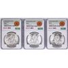 Image 1 : Lot of 1977Mo-1979Mo Mexico 100 Pesos Silver Coins NGC MS64