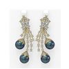 Image 1 : 8.06 ctw Diamond and Pearl Earrings 18K Yellow Gold