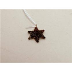 19th C. Bohemian Garnet Star Brooch