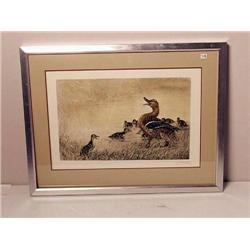 Etching Aquatint Mother with Ducklings