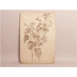 Dutch Old Master Drawing