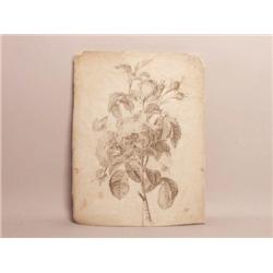 Dutch Old Master Drawing
