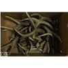 Image 1 : BOX FULL OF ANTLERS - COLLECTIBLE