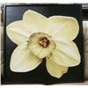 Image 1 : 32" X 32" FLOWER PICTURE