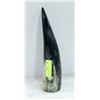 Image 1 : ANIMAL HORN- HOLLOW- MEASURES 12" LONG