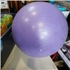 Image 3 : PUZZLE MAT, TOTE, AND EXERCISE BALL