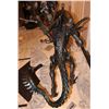 Image 5 : ALIEN VS PREDATOR 1/2 SCALE STATUES VERY RARE PROMO FROM WORLD PREMIERE